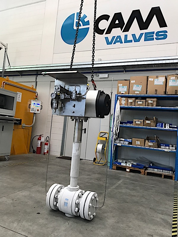 Cryogenic valves « Divisions « CAM Valves