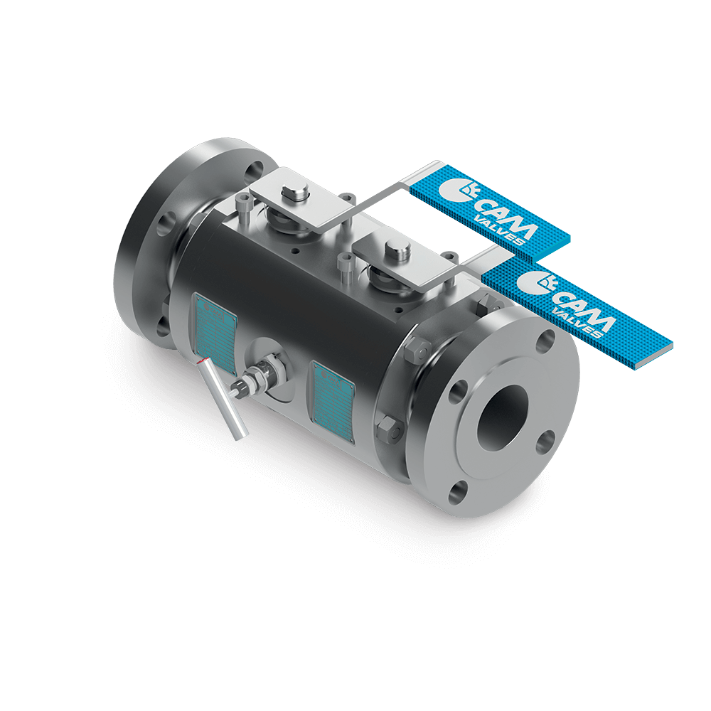 Modular Floating CAM Valves