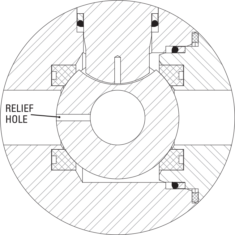 CRYOGENIC BALL VALVES ISSUES CAM Valves