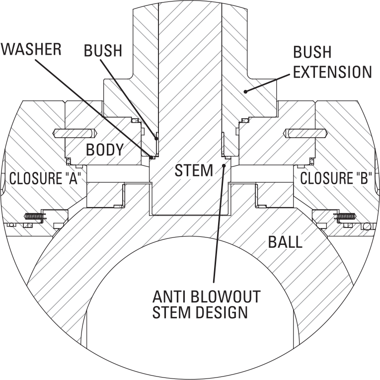 CRYOGENIC BALL VALVES ISSUES CAM Valves