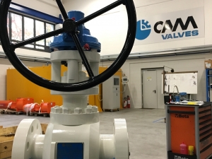 Through conduit gate valve