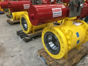 ACTUATED TRUNNION BALL VALVES ROTORK 1920