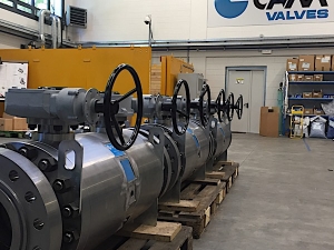 TRUNNION MODULAR VALVES_7921