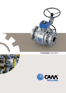 Pigging Valves