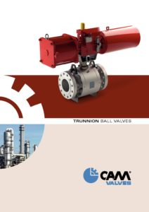 Trunnion ball valves